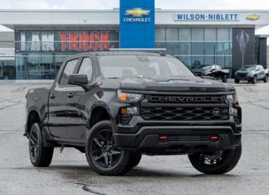 Chevrolet Silverado   custom trail boss crew cab 4x4 tout compris hors homologation 4500e Occasion