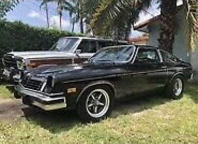 Achat Chevrolet Vega Occasion