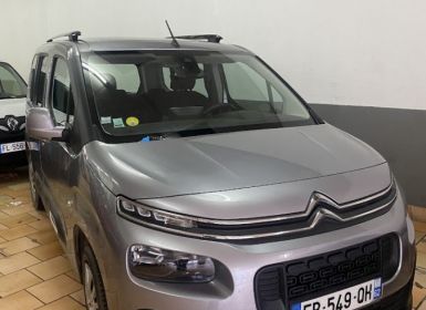 Citroen Berlingo BLUE HDI 100CV FEEL