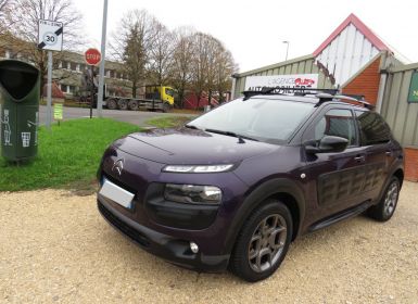 Citroen C4 Cactus 1.2 PURETECH 110 S&S SHINE Occasion