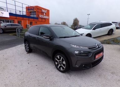 Citroen C4 Cactus BlueHDi 100 BV6 SHINE Caméra