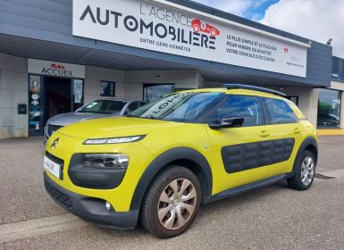 Vente Citroen C4 Cactus PURETECH 110 FEEL BUSINESS Occasion