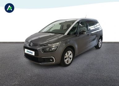 Achat Citroen C4 Grand SpaceTourer BlueHDi 130ch S&S Feel EAT8 E6.d Occasion