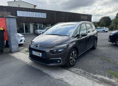 Achat Citroen C4 Picasso Grand 7 Places 1.6 BlueHDi - 120 S&S Bva Feel Gps + Clim + Attelage Occasion