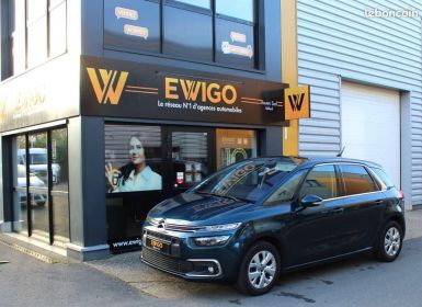 Achat Citroen C4 SpaceTourer Citroën 1.5 BLUEHDI 130 ch FEEL START-STOP ATTELAGE Occasion