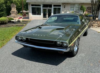 Achat Dodge Challenger Occasion