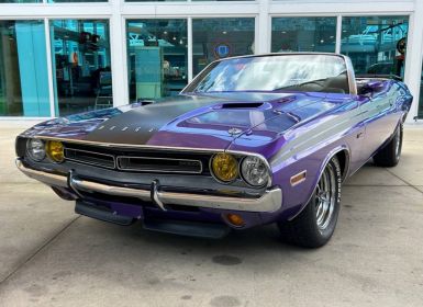 Achat Dodge Challenger Occasion