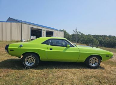 Vente Dodge Challenger Occasion