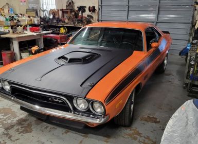 Achat Dodge Challenger Occasion