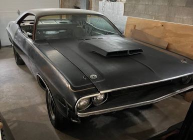 Achat Dodge Challenger r/t  Occasion