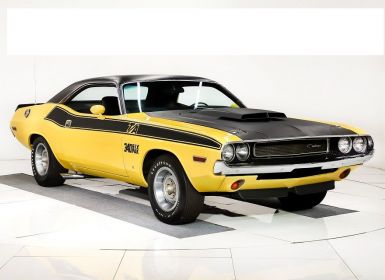 Achat Dodge Challenger T/A Occasion