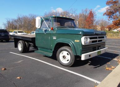 Dodge D Series D300  Occasion