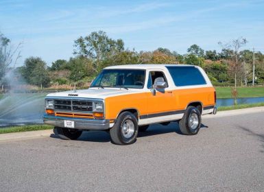 Achat Dodge Ramcharger Occasion