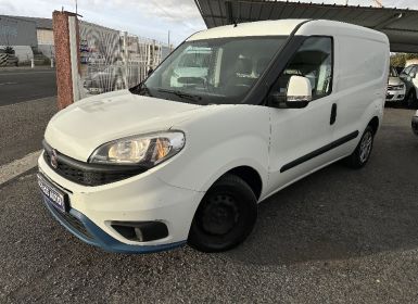 Vente Fiat Doblo CARGO  1.6 MULTIJET 105  PACK PROFESSIONAL Occasion