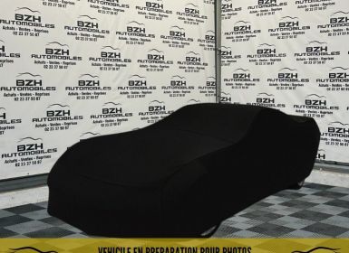 Achat Fiat Doblo CARGO MAXI 1.3 MULTIJET 16V 90CH PACK PROFESSIONAL Occasion