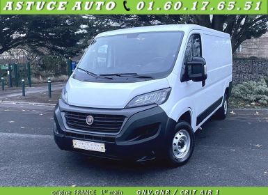 Fiat Ducato FG 3.5 HD MH1 3.0 136CH GNV PRO LOUNGE Occasion