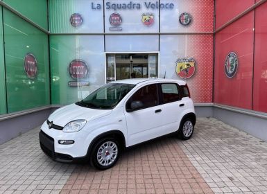 Achat Fiat Panda 1.0 70ch BSG S&S Neuf