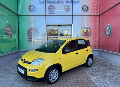 Achat Fiat Panda Classic 1.0 70ch BSG S&S City Neuf