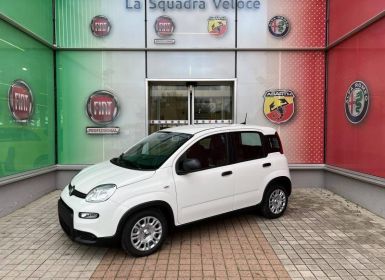 Vente Fiat Panda Classic 1.0 70ch BSG S&S City Neuf