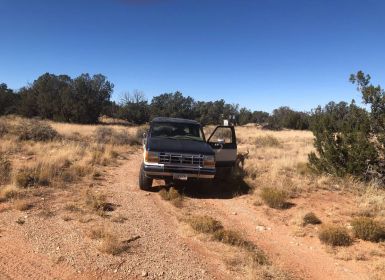 Achat Ford Bronco ii  Occasion