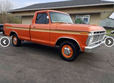 Ford F100