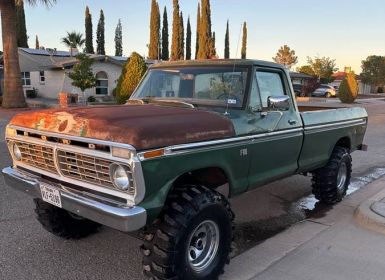 Achat Ford F100 custom  Occasion