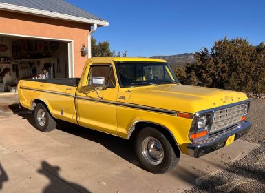 Vente Ford F100 custom  Occasion