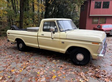 Achat Ford F100 F-100  Occasion