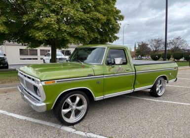 Ford F100 F-100 