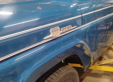 Ford F100 truck 