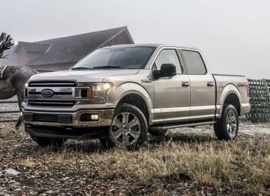 Ford F150 F-150 Occasion