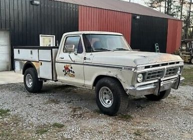 Achat Ford F250 Occasion