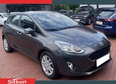 Ford Fiesta 1.0 EcoBoost 95 Connect Business Occasion