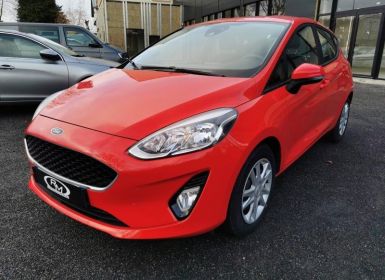 Achat Ford Fiesta Active 1.0 EcoBoost 100ch S&S Euro6.2 Occasion