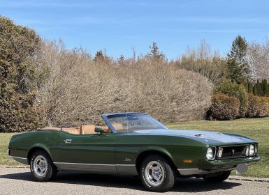 Ford Mustang Occasion