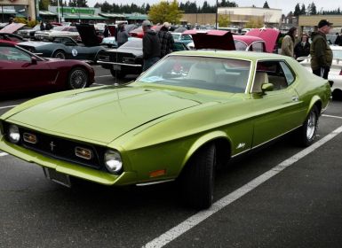 Ford Mustang Occasion