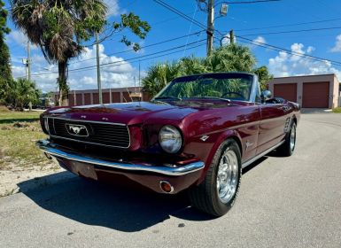 Ford Mustang Occasion