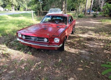 Vente Ford Mustang Neuf