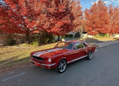 Vente Ford Mustang Occasion