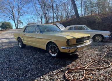 Vente Ford Mustang Occasion