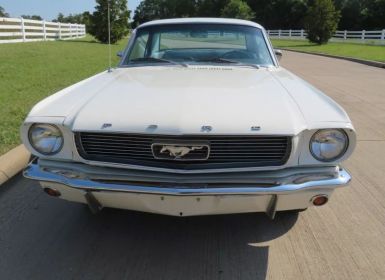 Vente Ford Mustang 1966 SYLC EXPORT Occasion