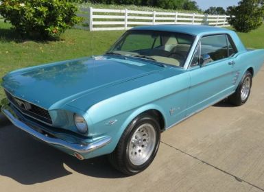 Achat Ford Mustang 1966 SYLC EXPORT Occasion