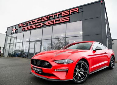 Ford Mustang 2.3 EcoBoost 55-Paket Occasion