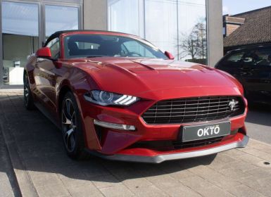 Ford Mustang 2.3 EcoBoost Cabriolet FIFTY FIVE 55 YEARS Edition