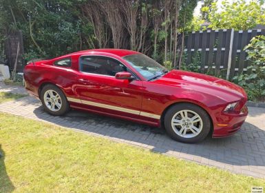 Vente Ford Mustang 3.7L 309CH Occasion