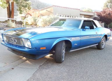 Vente Ford Mustang convertible  Occasion