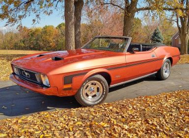 Achat Ford Mustang convertible  Occasion