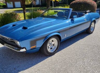 Vente Ford Mustang convertible  Occasion