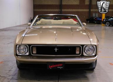 Vente Ford Mustang Convertible CABRIOLET 1973 Occasion