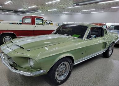Achat Ford Mustang FASTBACK GT350 TRIBUTE Occasion